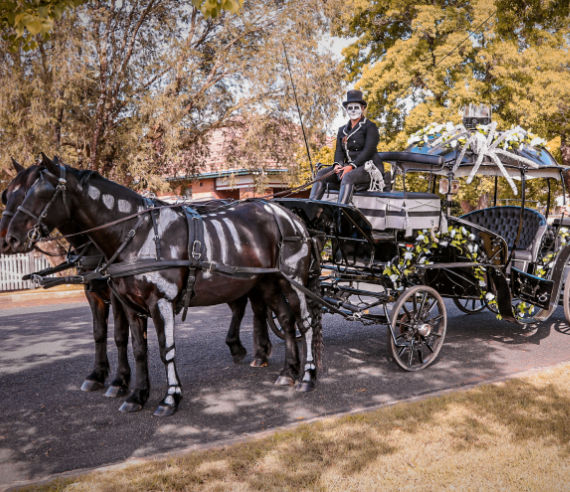 Halloween Carriage Rides with Cinderella Arrivals Lorn NSW
